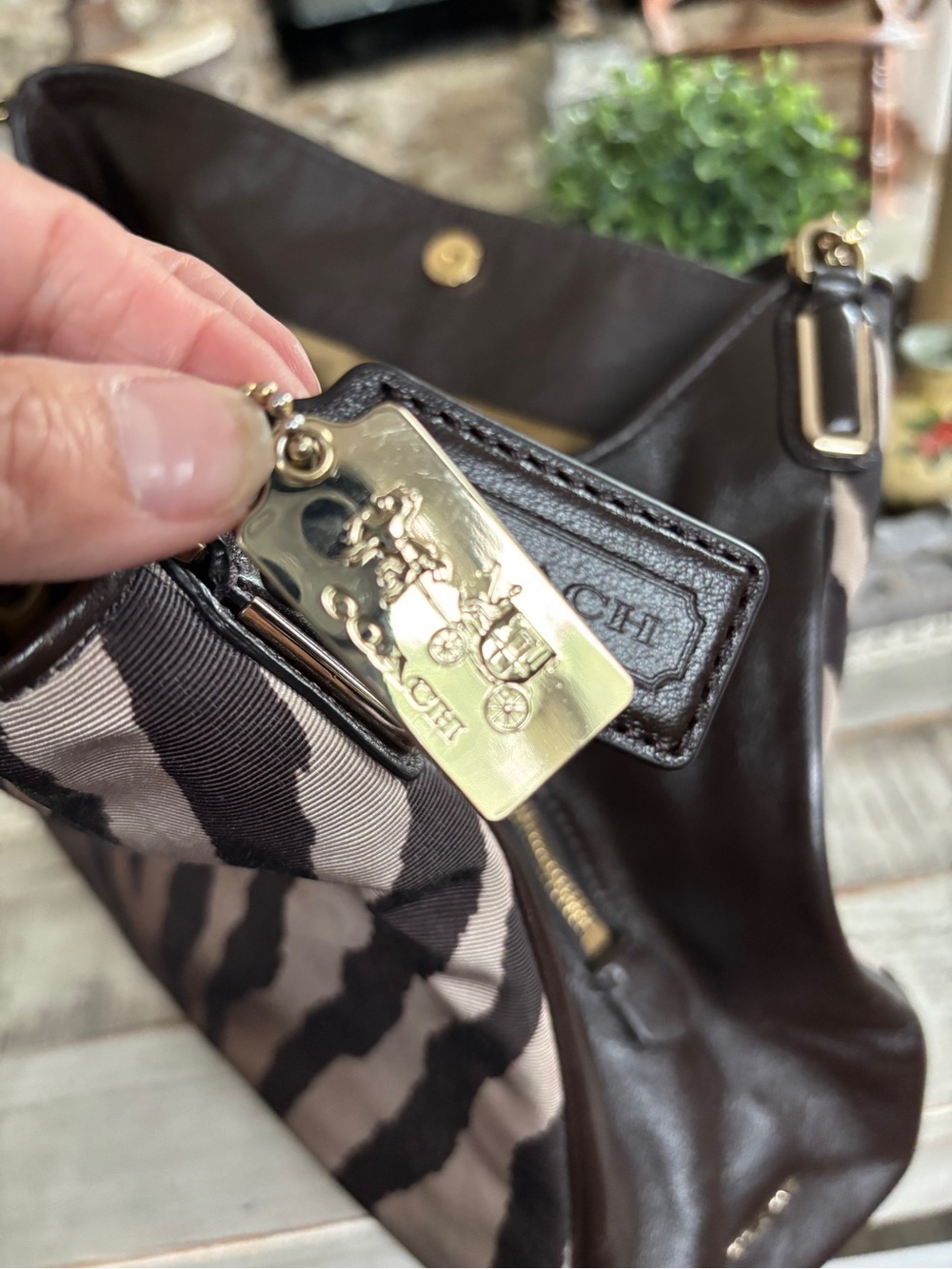 Coach Madison Zebra Print Small Phoebe Shoulder Bag - Picture 11 of 14
